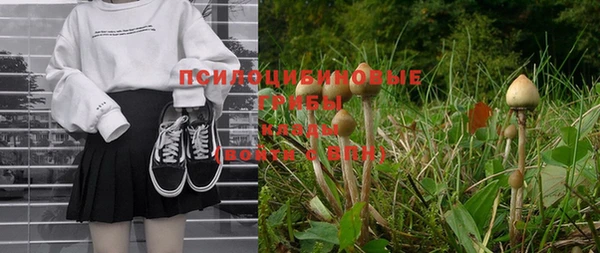 кокаин Белокуриха