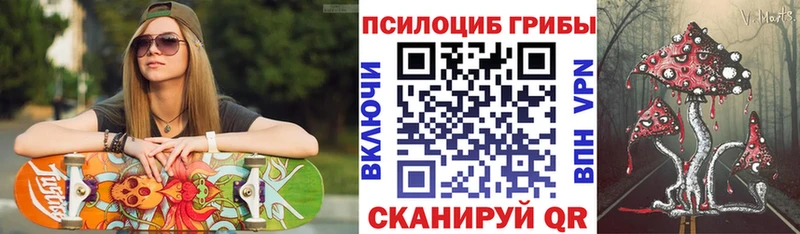 Галлюциногенные грибы Psilocybe  Черногорск 