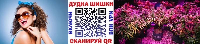 Марихуана планчик  Черногорск 